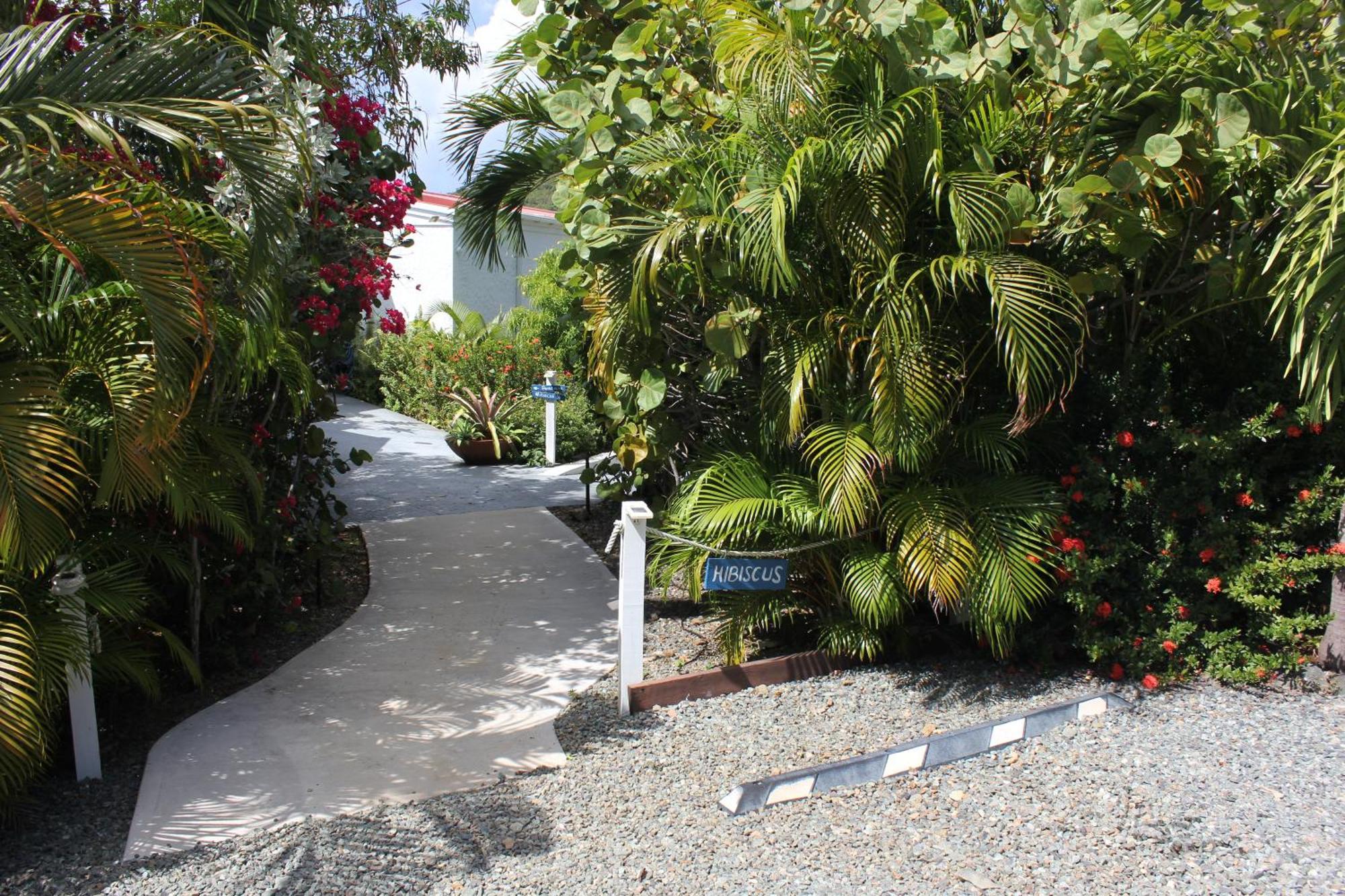 Beautiful Honeymoon Suite At Sunset Serenade Cruz Bay Esterno foto